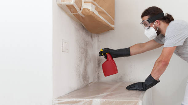 Professional Bathroom Mold Removal technician working in Furlong, PA